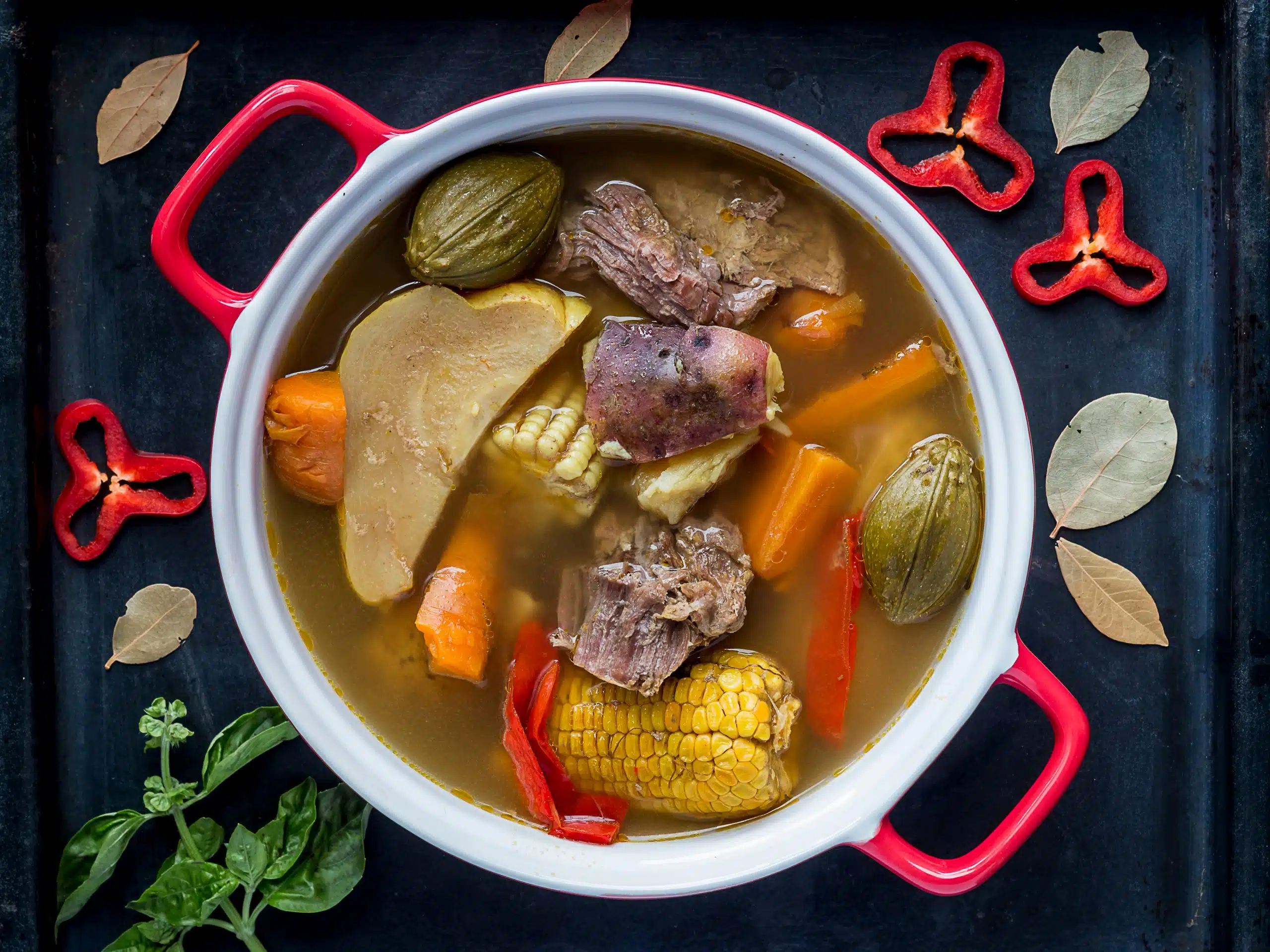 Costa,Rica,Beef,Stew,,Typical,Food